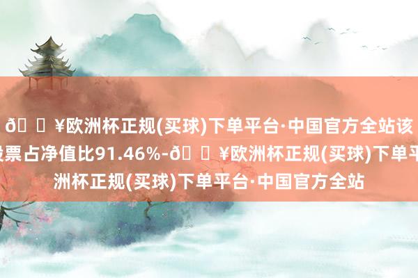 🔥欧洲杯正规(买球)下单平台·中国官方全站该基金钞票设置：股票占净值比91.46%-🔥欧洲杯正规(买球)下单平台·中国官方全站
