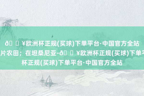 🔥欧洲杯正规(买球)下单平台·中国官方全站把沙漠灌溉成一派片农田；在坦桑尼亚-🔥欧洲杯正规(买球)下单平台·中国官方全站